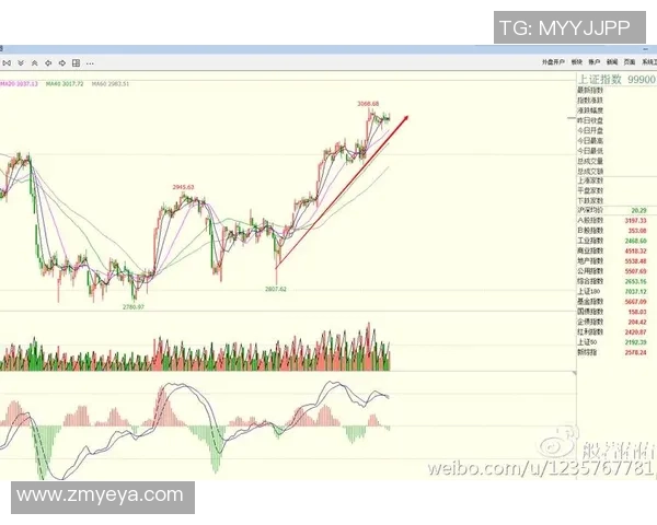 杭州网球队防守策略解析：提升竞技水平的关键所在