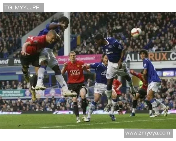 独家深度剖析杭州飞盘队实力对比及其战术优势解析