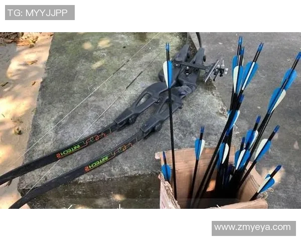 西安攀岩队中路突破战术解析与实战应用探讨