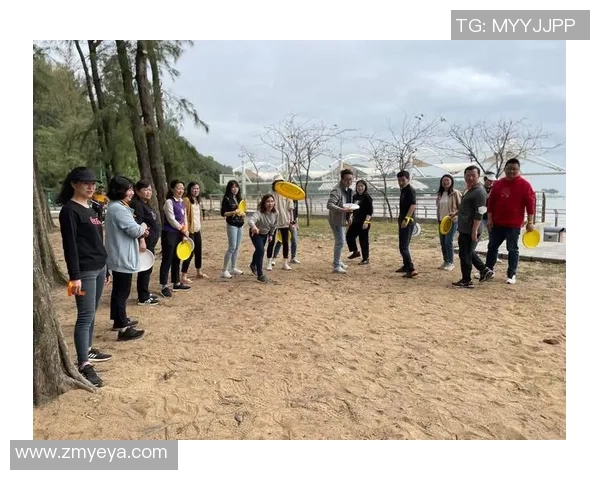飞盘团队协作的魅力与挑战:上海飞盘队的成功经验分享与启示 飞盘团队协作的魅力与挑战:上海飞盘队的成功经验分享与启示